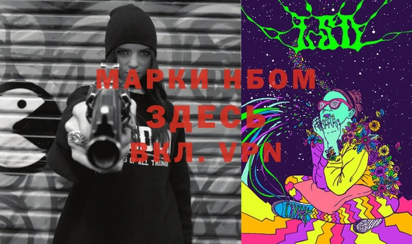 индика Вязники