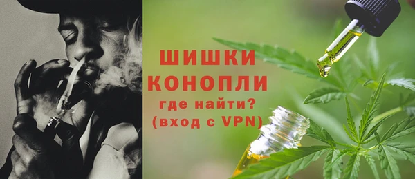 не бодяженный Вяземский
