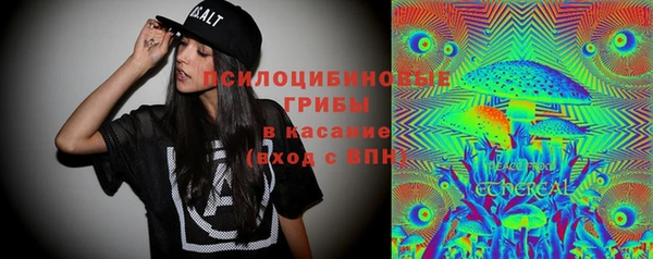 индика Вязники