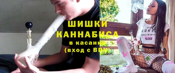 индика Вязники
